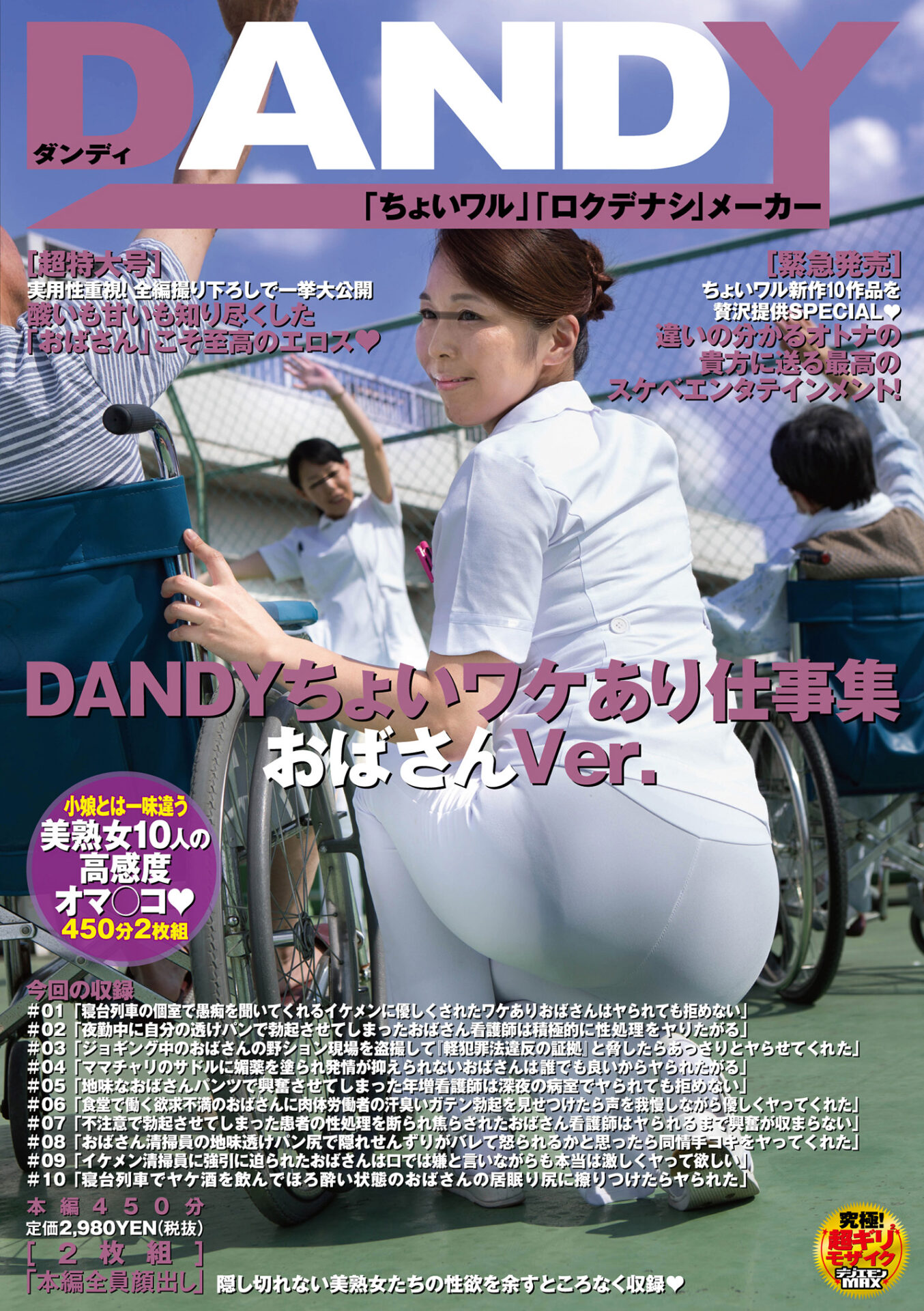 ＤＡＮＤＹちょいワケあり仕事集 おばさんVer.